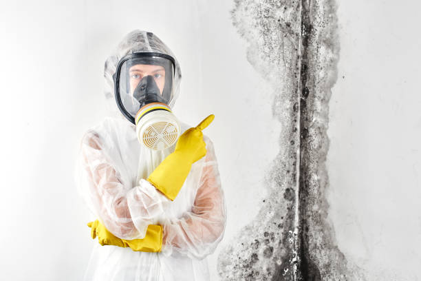 Sewage cleanup and water damage restoration in Cave Creek, AZ